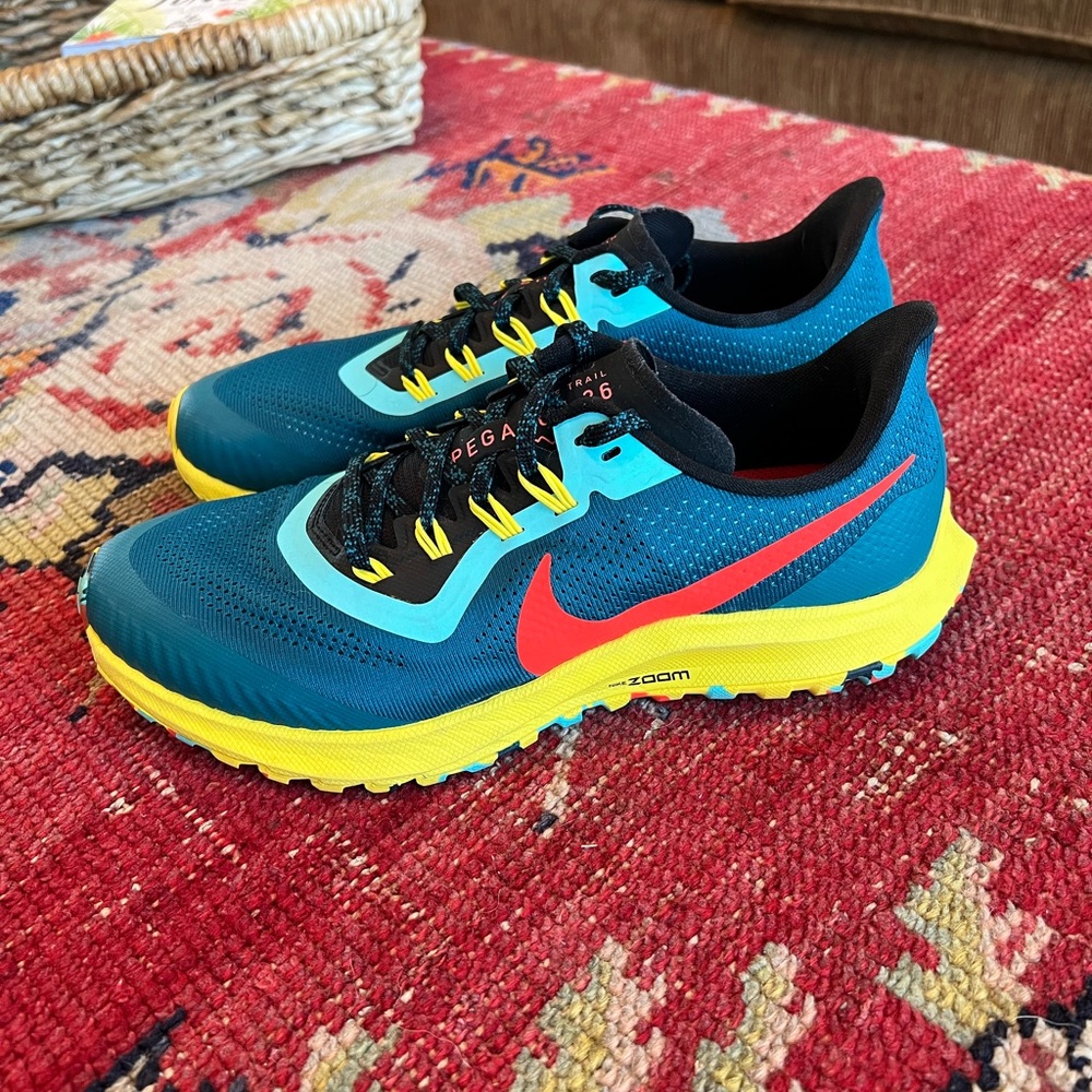 Nike Pegasus Size 9.5